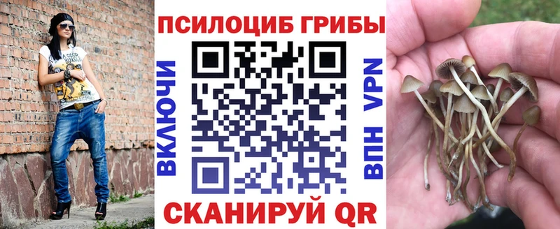 Галлюциногенные грибы ЛСД  наркота  Хилок 